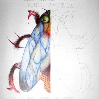 This work was developed prior to year 2008 at College in Belgium. Materials used: Watercolour pencils and pencil B.